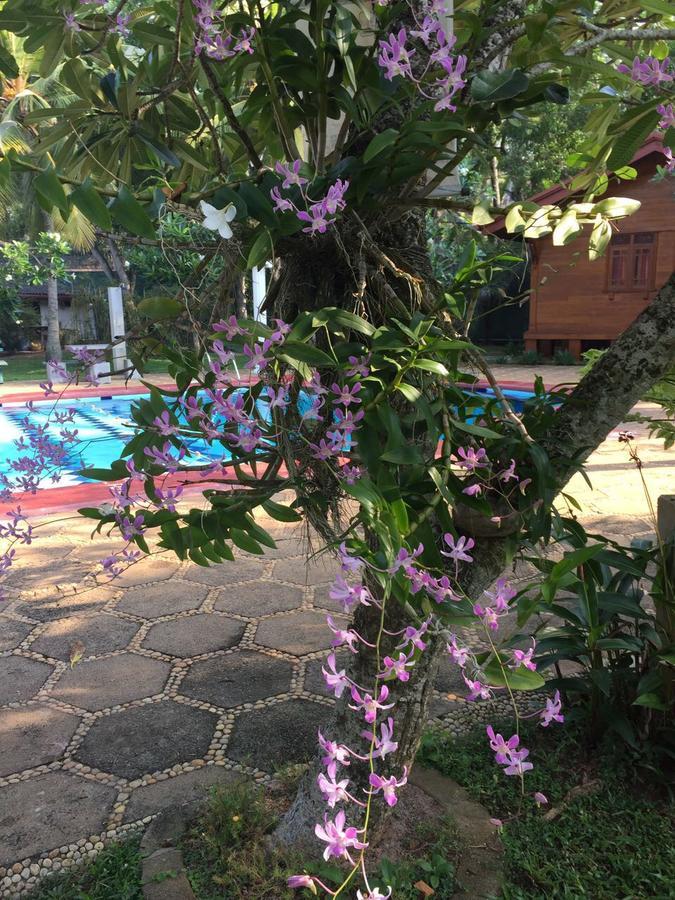 Ypsylon Tourist Resort Beruwala Exterior foto